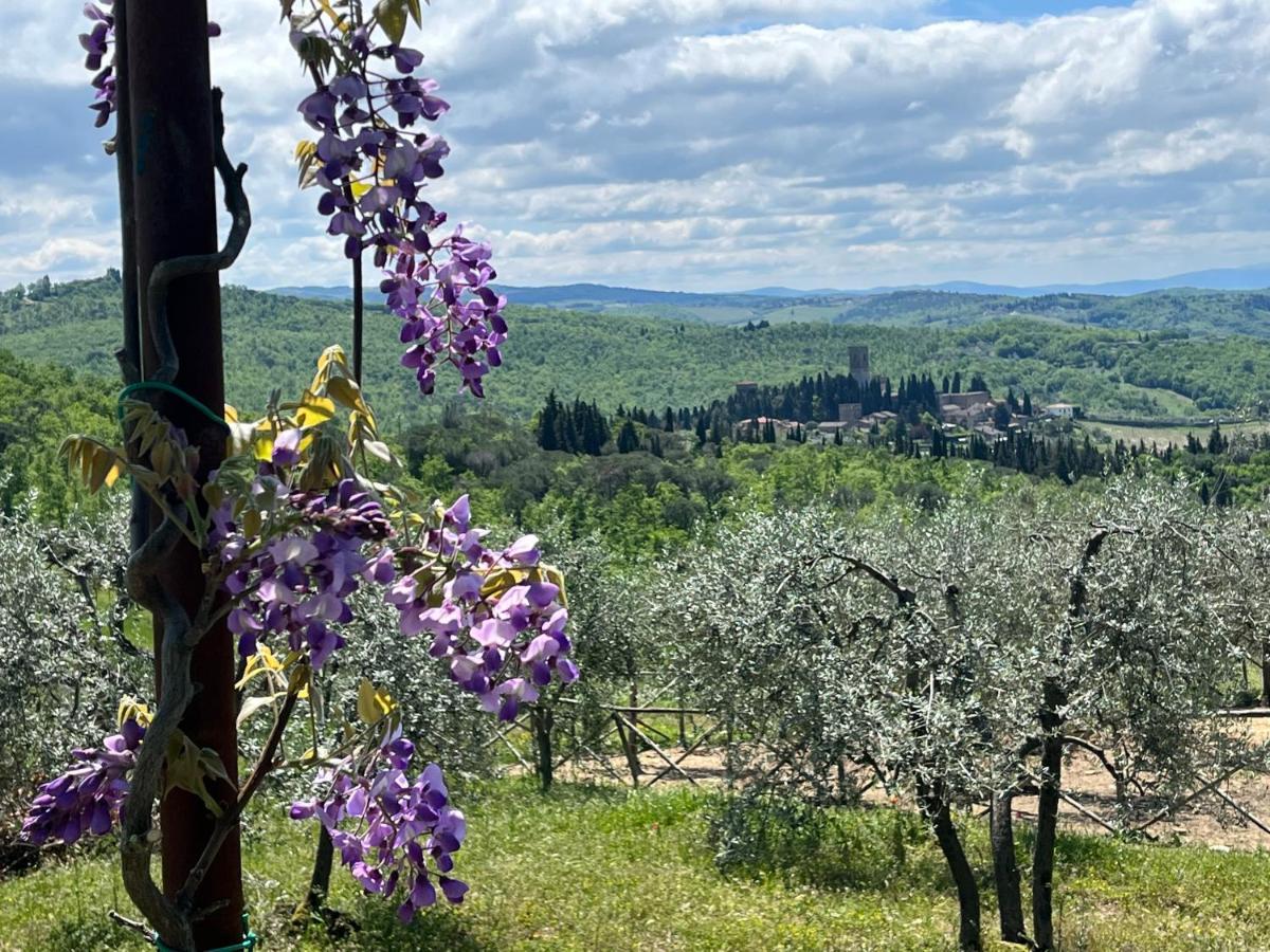 Il Fiorino Di Badia Leilighet Badia A Passigano Eksteriør bilde