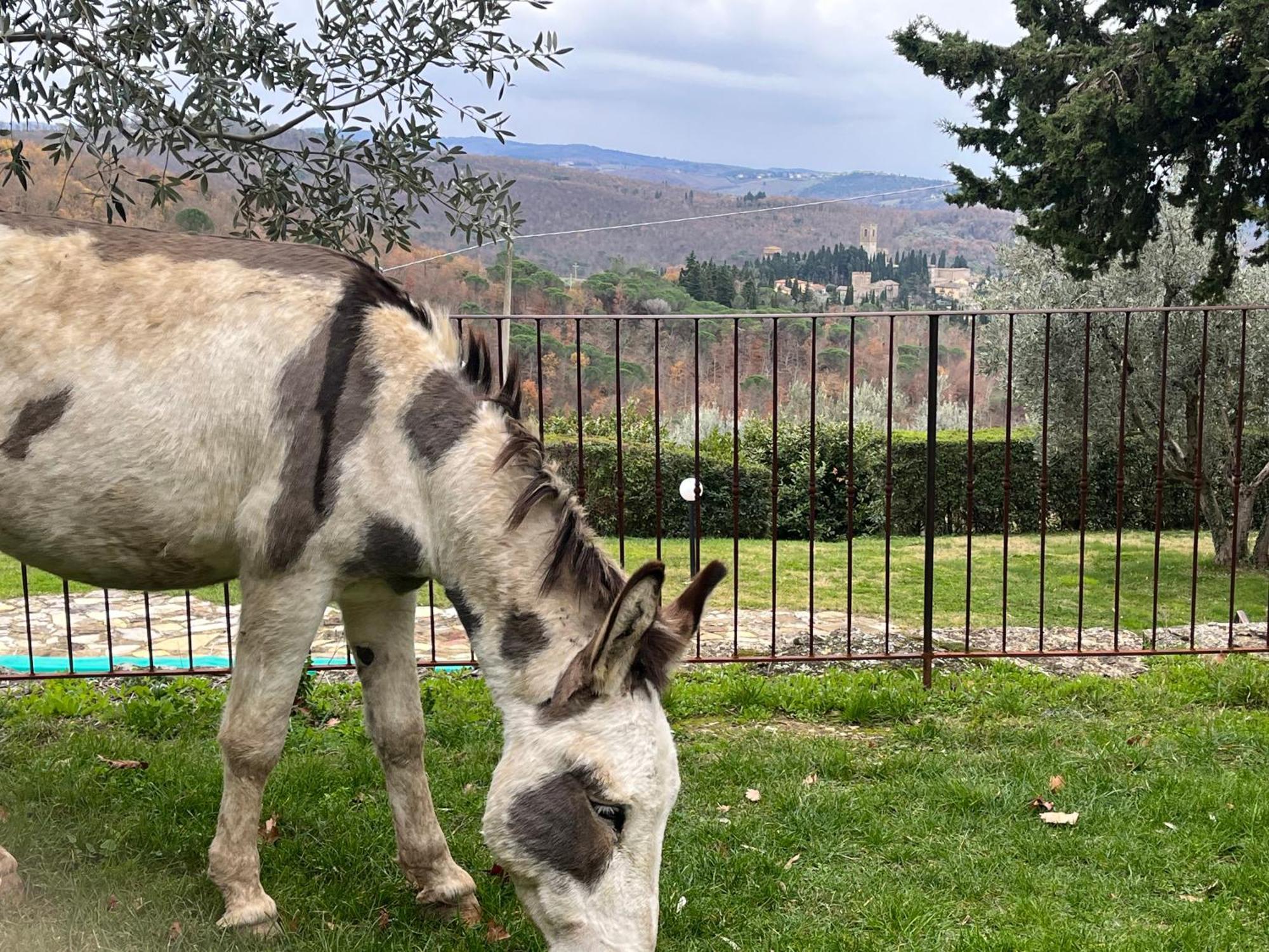 Il Fiorino Di Badia Leilighet Badia A Passigano Eksteriør bilde