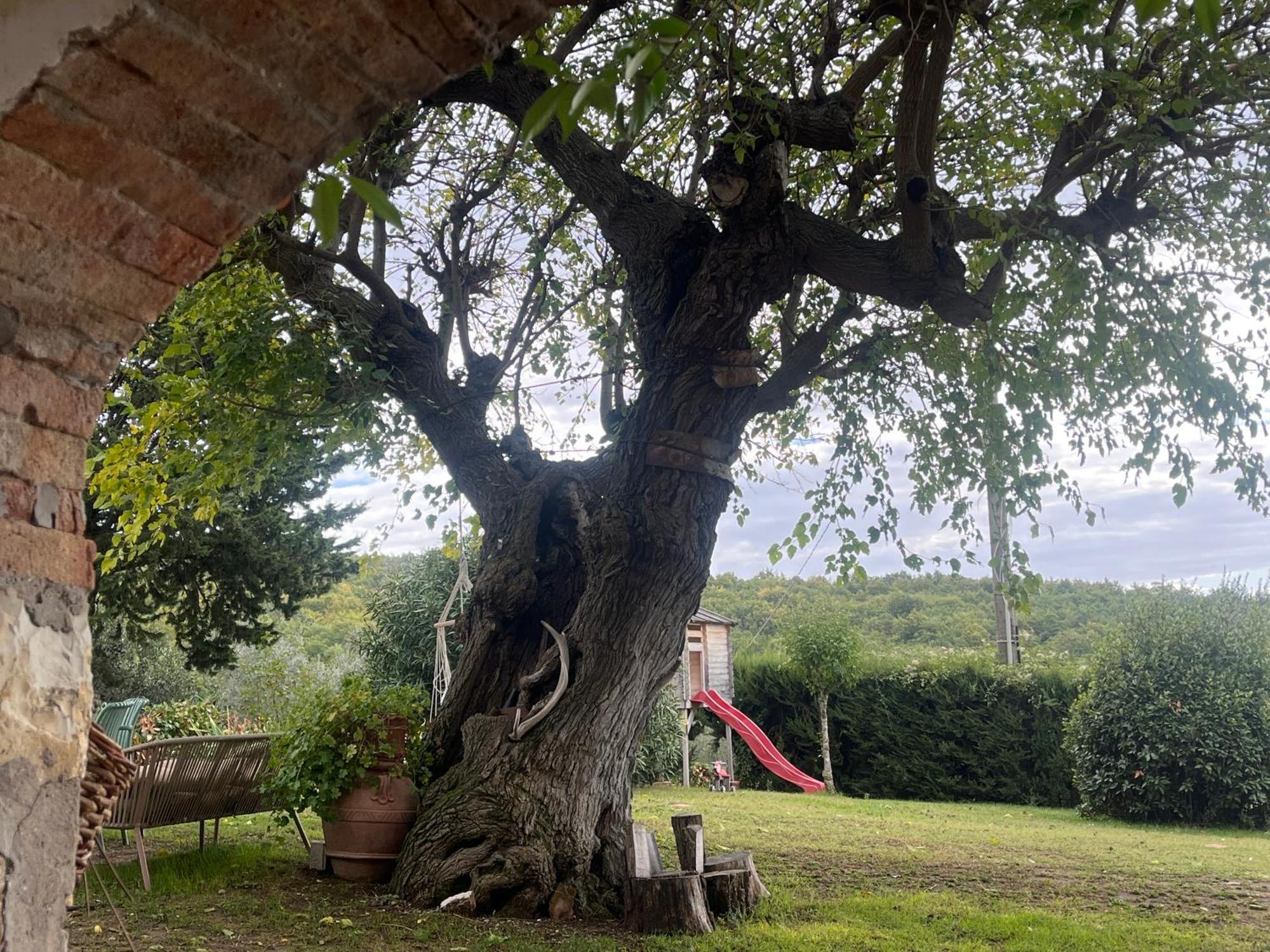 Il Fiorino Di Badia Leilighet Badia A Passigano Eksteriør bilde